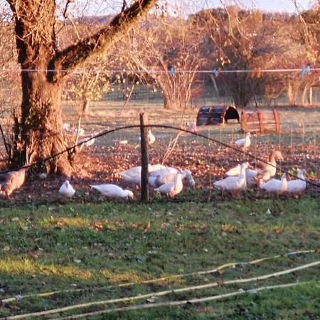 Grande Maison Avec Jardin, Animaux,au Calme * Yviers